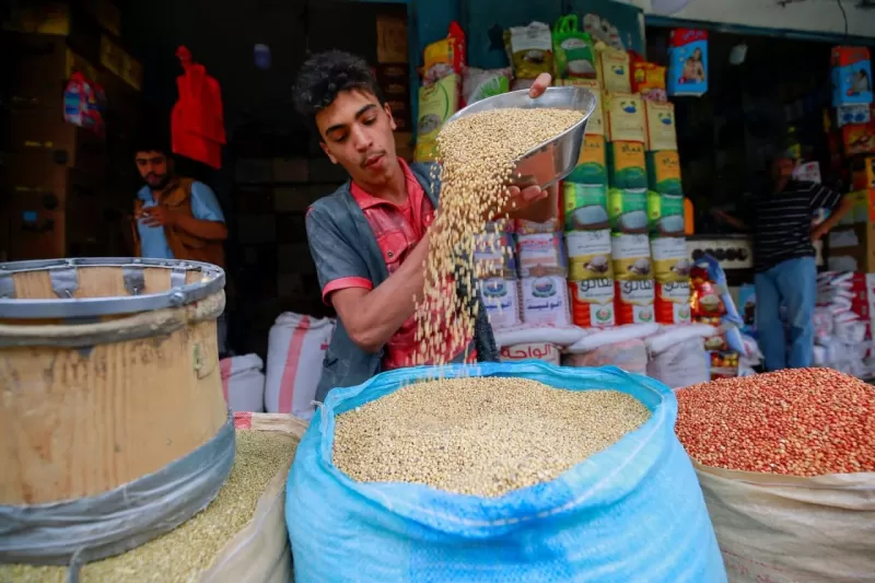 ارتفاع أسعار القمح في السوق اليمنية